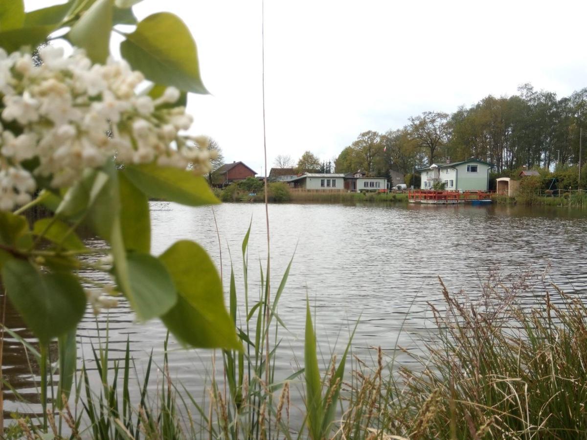 Agroturystyka Nad Morzem Zieleniewo  Extérieur photo